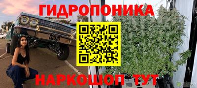 гидропоника Заводоуковск