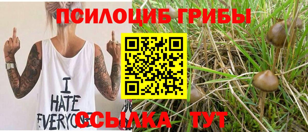 Псилоцибиновые грибы мицелий  Галлюциногенные грибы GOLDEN TEACHER  Лянтор  Вход с VPN 