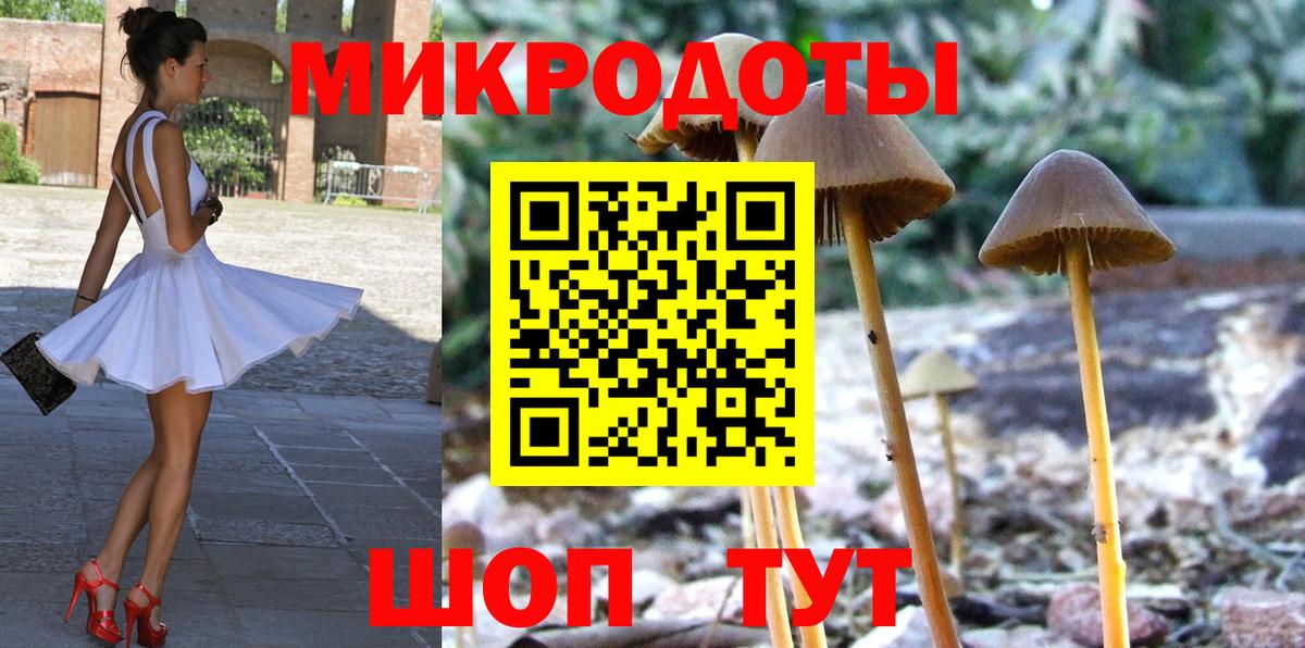 Псилоцибиновые грибы Psilocybine cubensis Лянтор